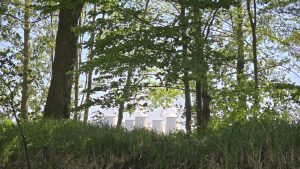 Kontrastprogramm - N.Kubicke