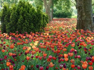 LAGA Bad Dürrenberg 2024 (17) - H. Müller