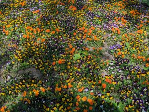 LAGA Bad Dürrenberg 2024 (21) - H. Müller