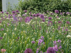 LAGA Bad Dürrenberg 2024 (9) - H. Müller