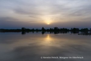 Morgens im Oderbruch - © Kerstin Fetsch