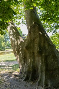 Neuhardenberg 11 - B.Möcker