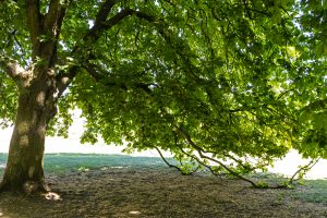 schwere Last - Bernd Möcker