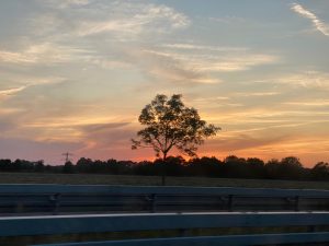 Abendstimmung - Bernd Opel