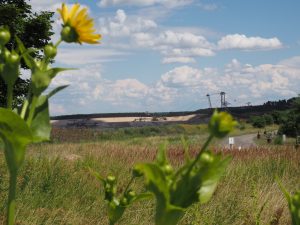 Am Tagebau Jänschwalde 1 - Bernd Opel