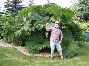 Monsterblatt 1 - Bernd Opel