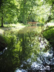 Spiegelungen - Bernd Opel