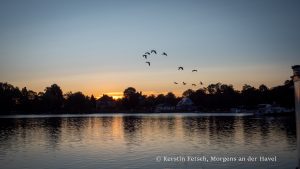 Morgens an der Havel - Kerstin Fetsch