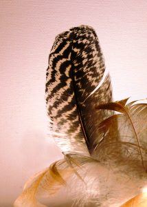 Federnzauber 1 - K. - F. Muehler