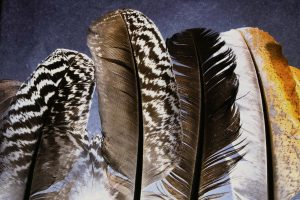 Federnzauber 4 - K. - F. Muehler