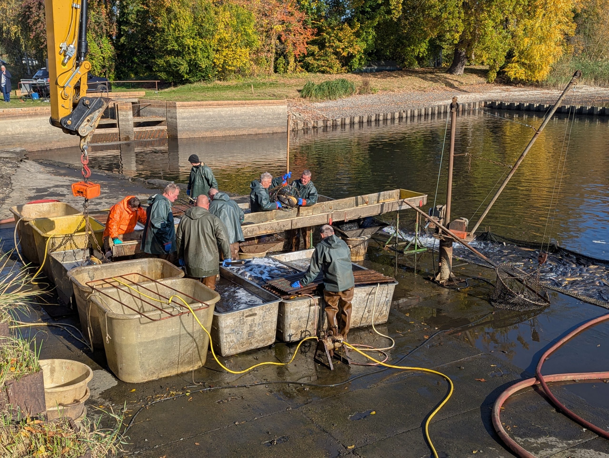 Fischerfest in Peitz 2024 - H. Müller