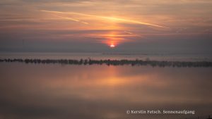 Sonnenaufgang - Kerstin Fetsch