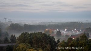 Morgennebel - Kerstin Fetsch