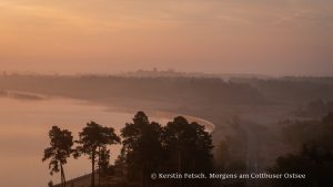 Morgens am Cottbuser Ostsee - Kerstin Fetsch