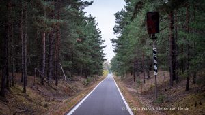 Lieberoser Heide(1) - Kerstin Fetsch