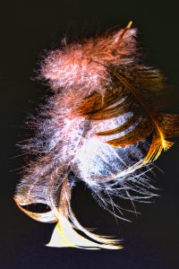 Federnzauber 4 - K. - F. Muehler