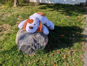 der Wachhund- H. Müller