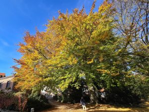 am Amtsteich 1 - B.Möcker