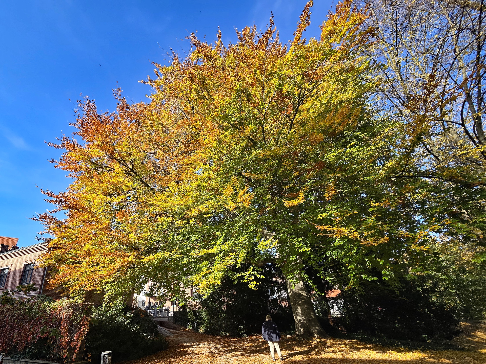 am Amtsteich 1 - B.Möcker