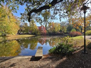 am Amtsteich 2 - B.Möcker