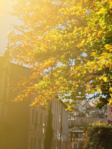 am Amtsteich 4 - B.Möcker