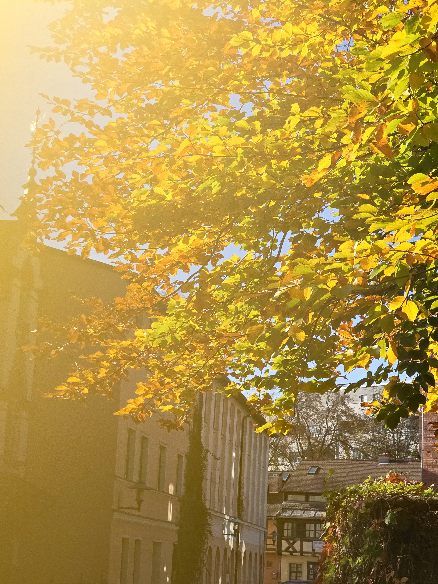 am Amtsteich 4 - B.Möcker