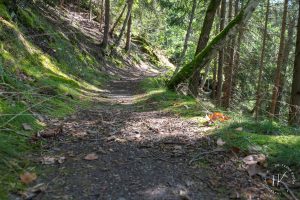 Unner Vogtland is schieh - Frank Knorr