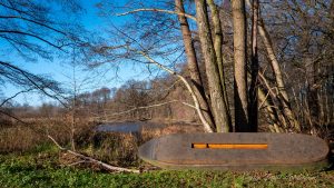 Rietschen 3 - Kerstin Fetsch