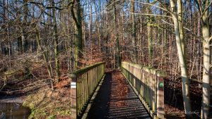 Rietschen - Kerstin Fetsch