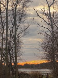 Abendstimmung in Kolkwitz - Bernd Opel