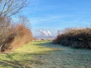 Blick über den Ostsee - Bernd Opel