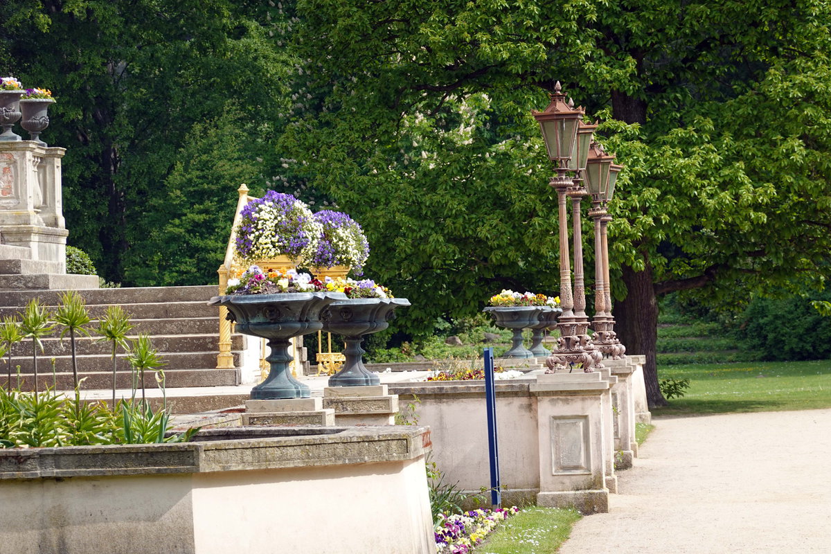 Branitzer Park 1- H. Müller