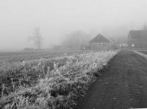 Nebelstimmung 11 - H. Müller