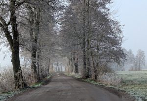 Nebelstimmung 13 - H. Müller