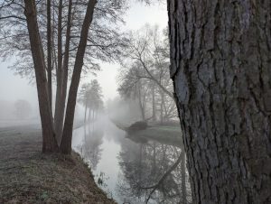 Nebelstimmung 2- H. Müller