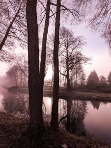 Nebelstimmung 3 - H. Müller