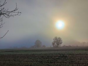 Nebelstimmung 4 - H. Müller