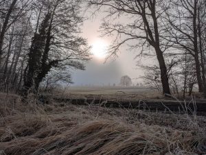 Nebelstimmung 5 - H. Müller