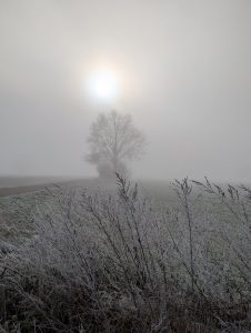 Nebelstimmung 6 - H. Müller