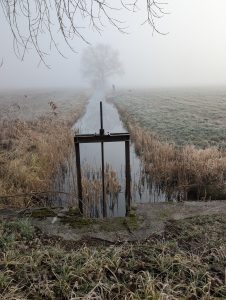 Nebelstimmung 8 - H. Müller