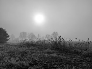 Nebelstimmung 9 - H. Müller