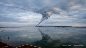 Cottbuser Ostsee 1- Kerstin Fetsch