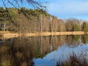 Wasserspiegelung 2 - H. Müller