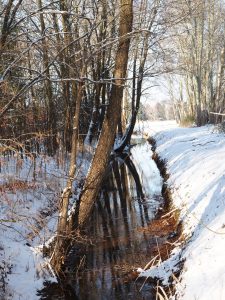 Winterimpression - Bernd Opel