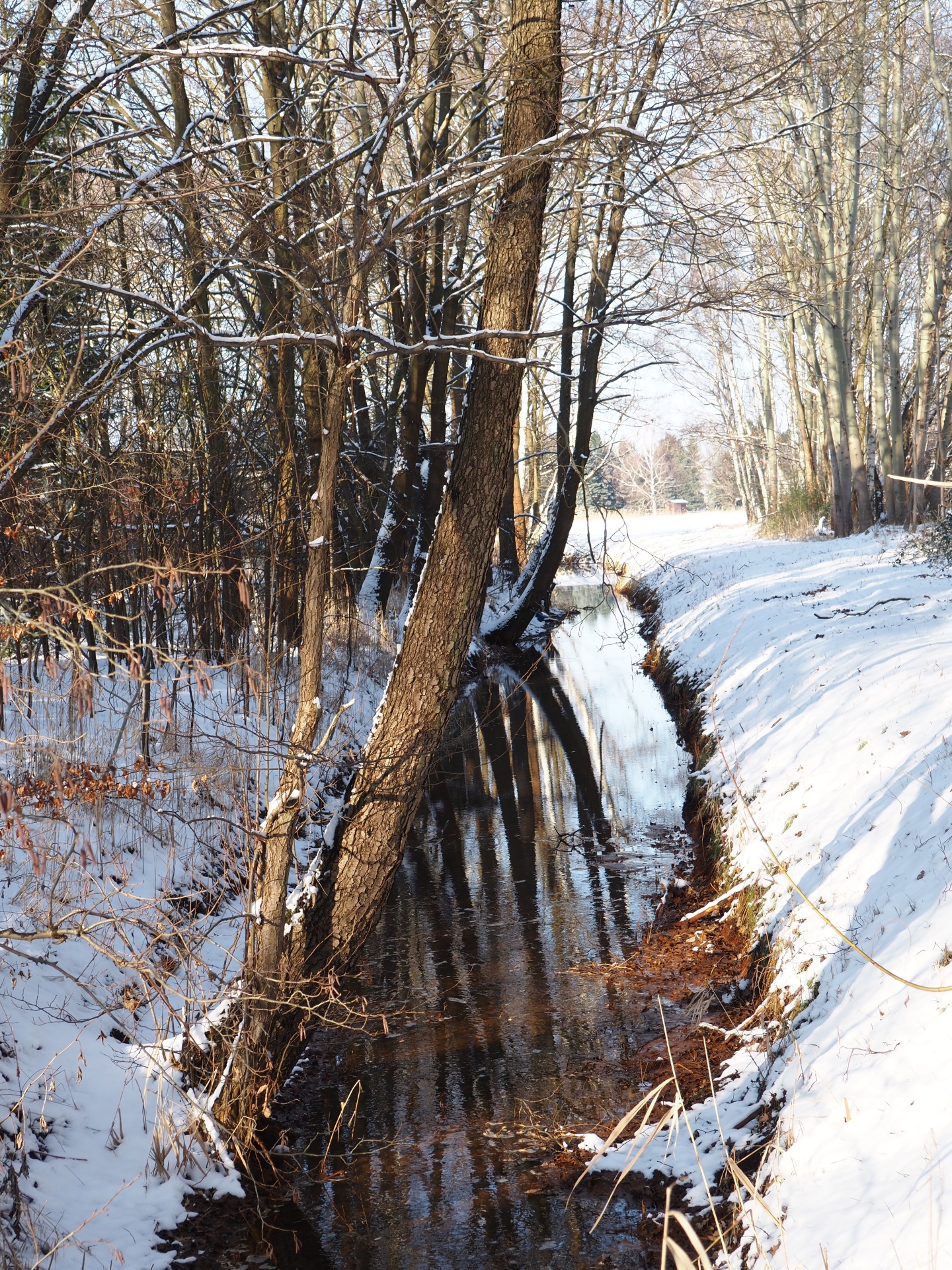Winterimpression - Bernd Opel