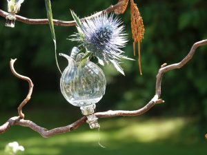 stachliche Schönheit - H. Müller