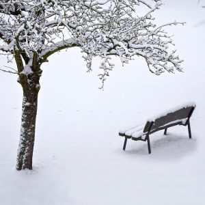 Bank besetzt- Peter Mauksch