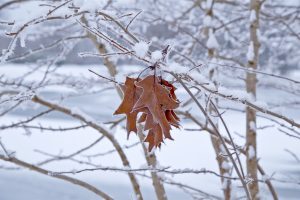 Gruppenfoto-Peter Mauksch
