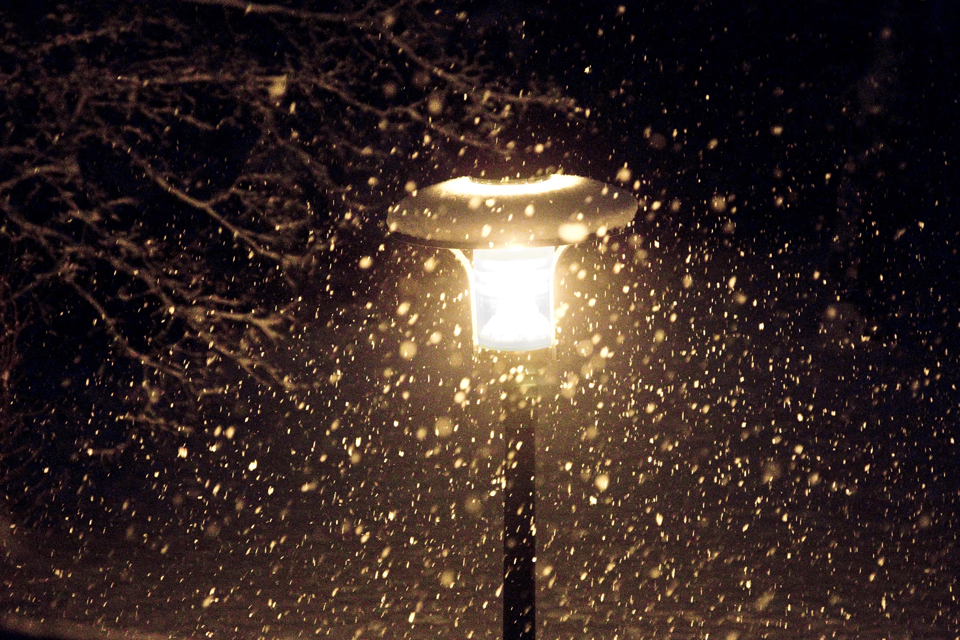 Schneefall beleuchtet-Peter Mauksch