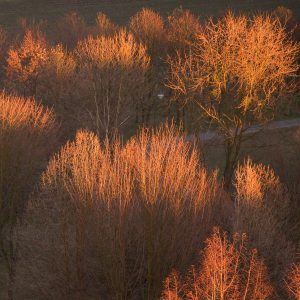Winterabend-Peter Mauksch